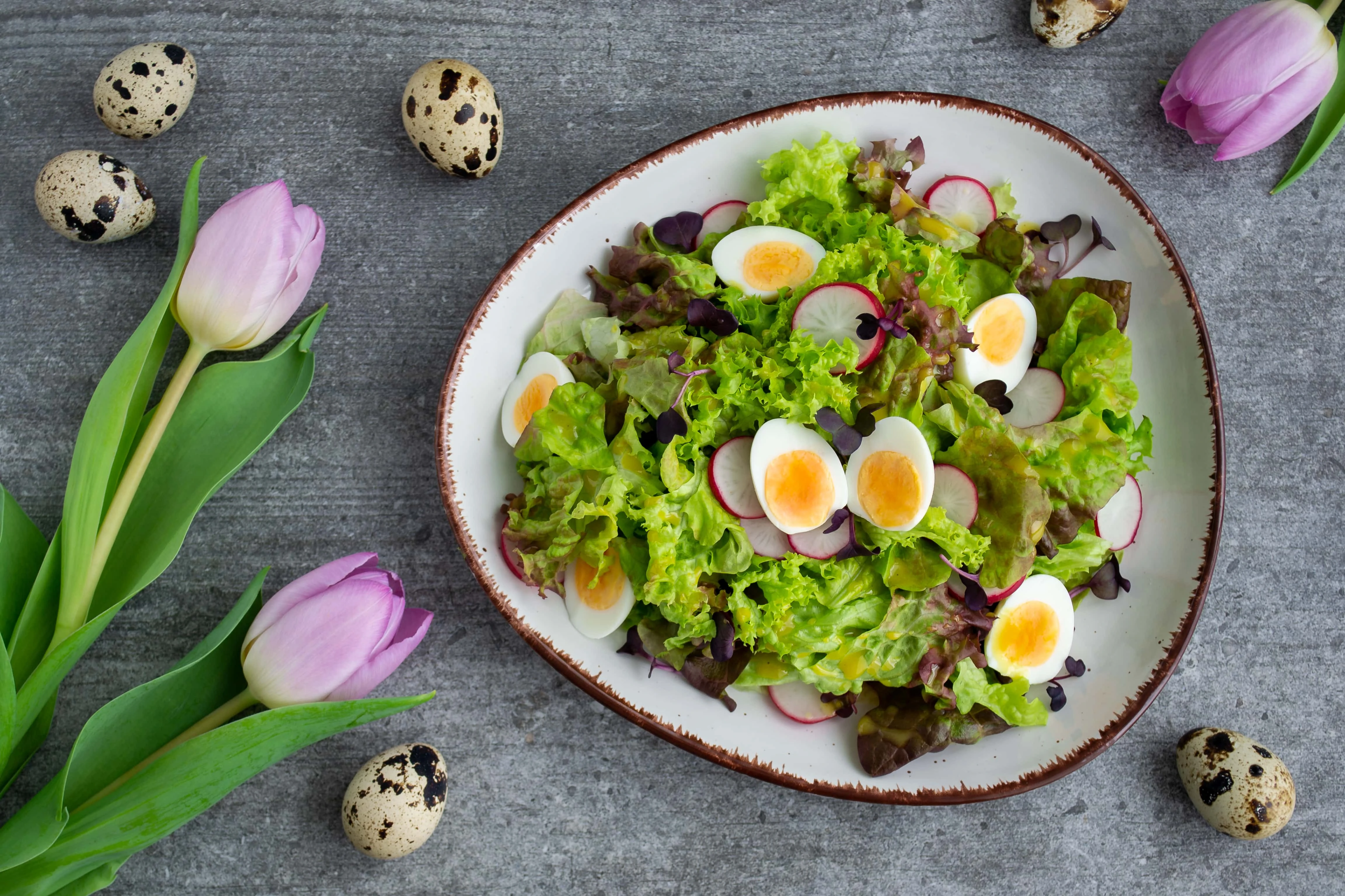 Ein bunter Frühlingssalat mit Wachteleiern und Radieschen, angemacht mit einem cremigen, gelben Honig-Senf Dressing ist auf einem weißen Teller mit braunen Rand angerichtet. Um den Teller herum liegen drei rosafarbene Tulpen und sechs ganze Wachteleier.