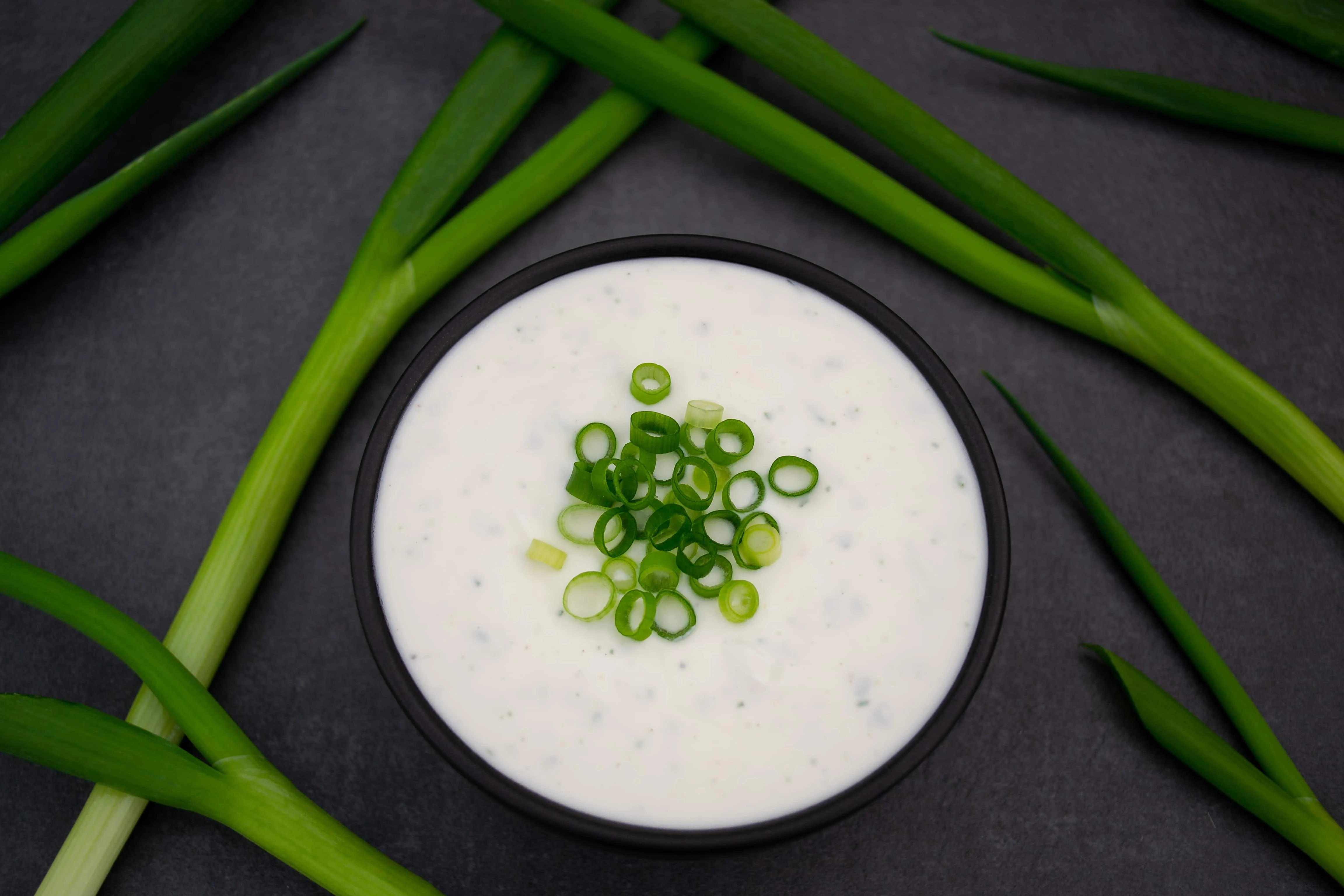 Auf einem dunklen Untergrund steht eine Schale gefüllt mit Sour Cream mit Frühlingszwiebeln. Um die Schale herum liegen mehrere ganze grüne Frühlingszwiebeln.