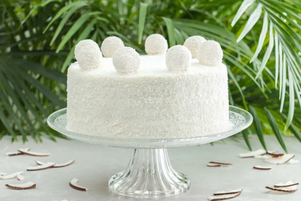 Auf einem Tortenständer steht eine weiße Kokostorten, welche vollständig mit Kokosraspeln verkleidet ist. Die Kokostorte ist verziert mit mehreren Kokospralinen. Im Hintergrund sind Palmenblätter zu sehen.
