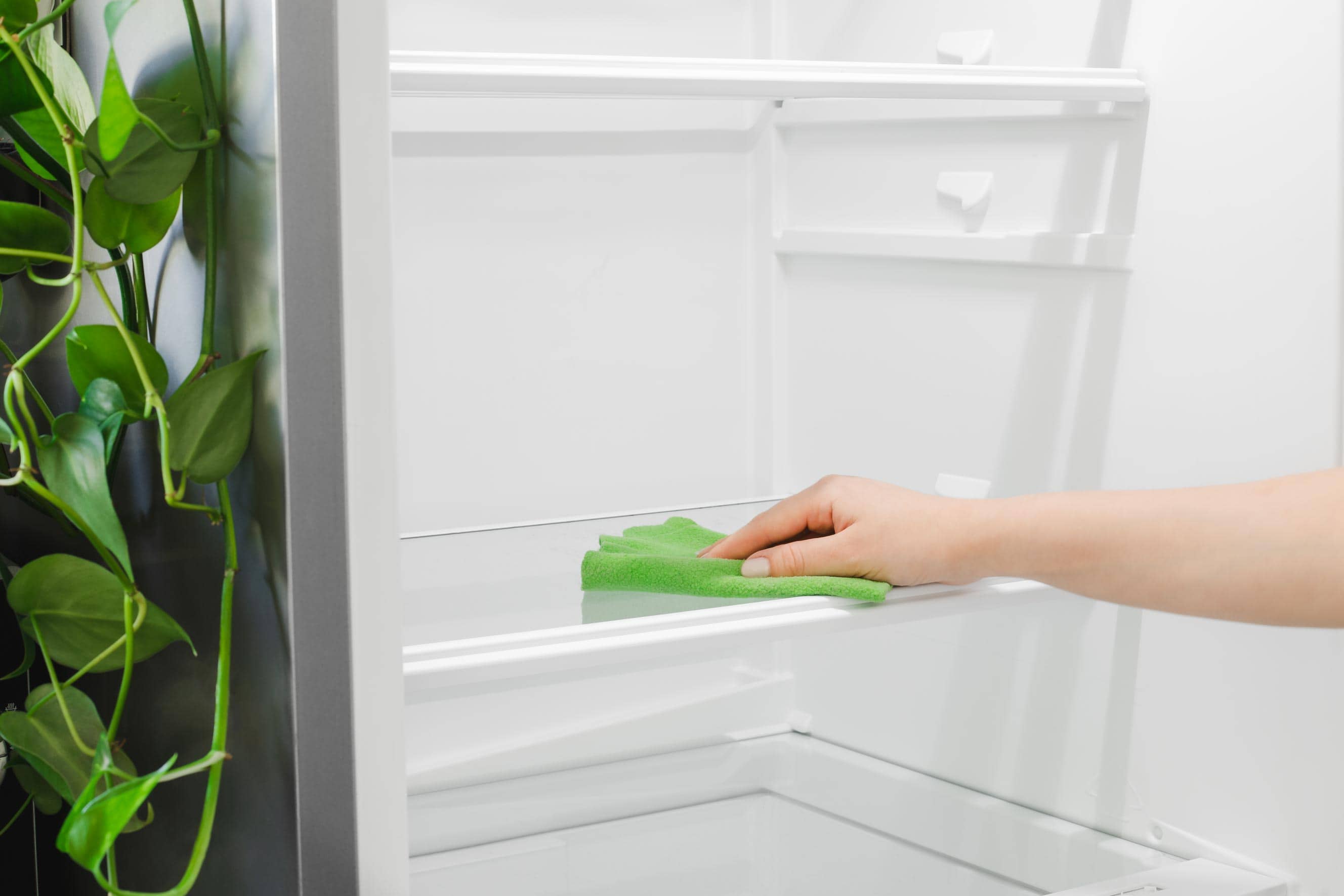 Ein Kühlschrank wird mit einem Lappen ausgewischt als Symbol für die praktischen Tipps & Tricks, zum Kühlschrank reinigen, einräumen und organisieren.
