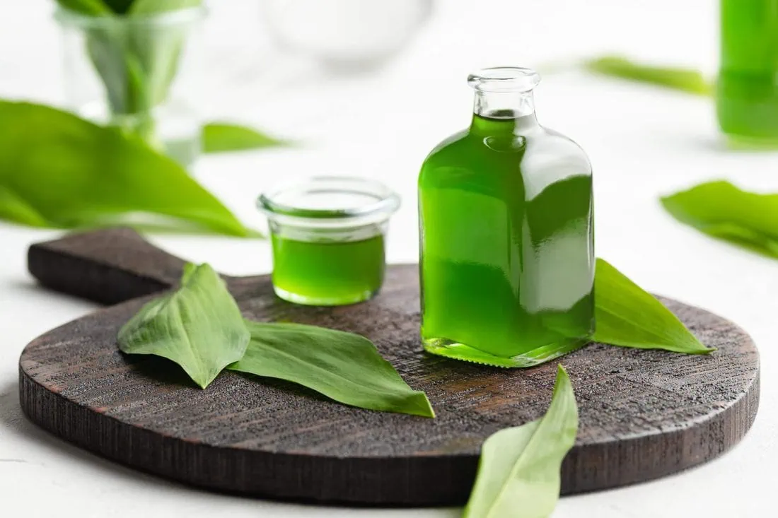Selbstgemachtes, grünes Bärlauchöl in einer Glasflasche.