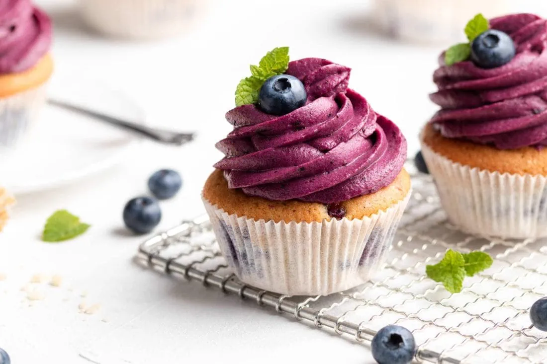 Blaubeer-Cupcakes mit Frischkäse-Frosting und einer Garnitur aus frischen Blaubeeren und Minze.
