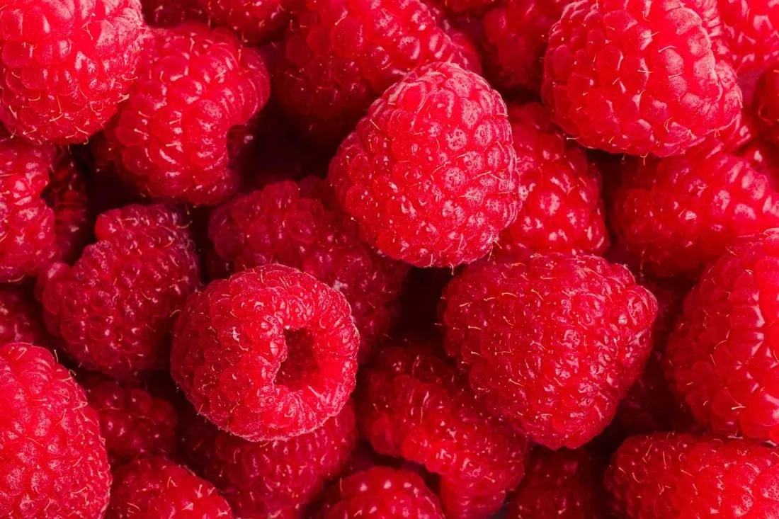 Nahaufnahme von frischen Himbeeren, die für die Himbeer-Limonade mit Rosmarin und Limette verwendet wurden.
