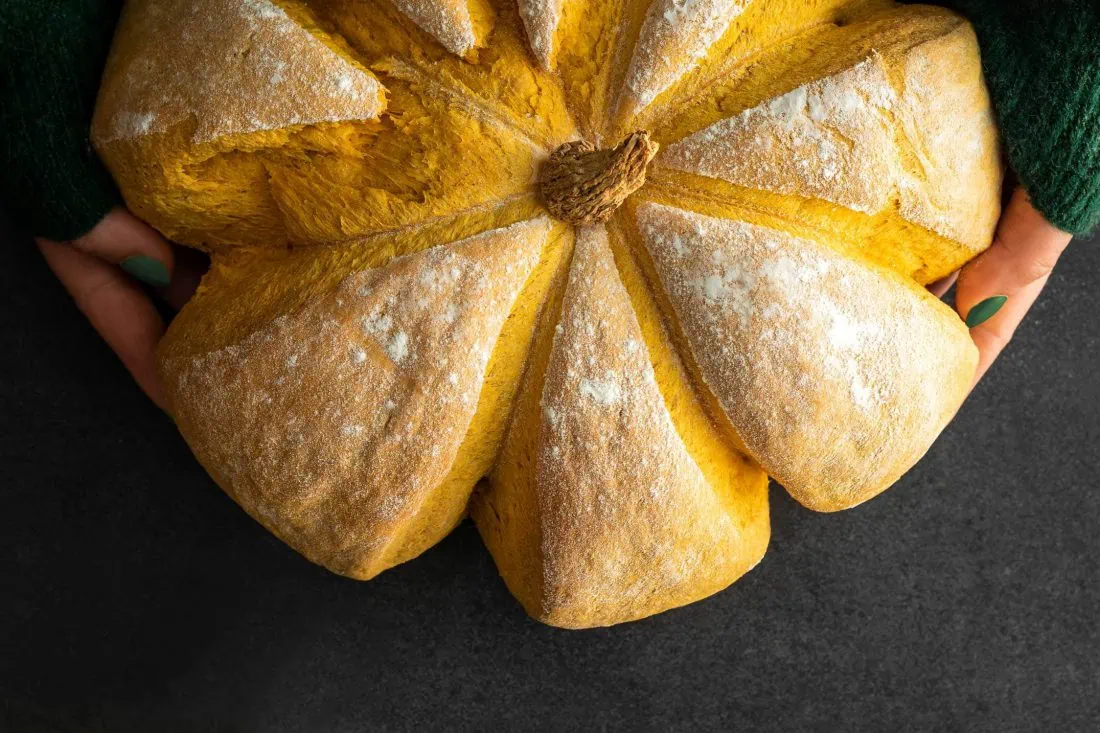 Kürbisbrot von oben fotografiert. Das Brot ist in Form eines Kürbisses und hat einen Kürbisstrunk in der Mitte.